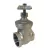 Leemco Gate Valve Stainless Steel 3" FPT | LGT33SS304X