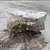PA Fieldstone Boulders | PAFSBOU