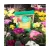 Gaia Green Organics All Purpose, 2 kg Pouch