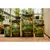 Royal Gold Crown Jewels Grow 3-2-2, 10 lb
