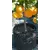 Air-Pot Container #7 (5.4 gal/20.4 L, blue base), case of 12