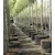 Air-Pot Container Propagation Cell (0.3 gal/1 L), case of 25