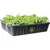 oxyCLONE PRO Series 80 Site Cloning System