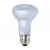 Agrosun Dayspot Incandescent Bulb, 60W