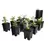 Active Aqua Grow Flow 5 gal System w/Controller Unit & 3/4" Tubing