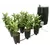 Active Aqua Grow Flow 2 gal System w/Controller Unit & 1/2" Tubing