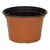 DLN 08.00X05.00 MUMPAN COEX TC/BLK 170/CS 45CS/PL