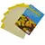 BASF Sensor Yellow Sticky Cards 3"x5" 50/PK (15/Cs)