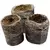 Riococo 32mm PCM Plug 2500/CS (157500/PL)