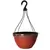 Grower Select 12.00 Dixie Hanging Basket Red Brown Drip