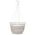 Grower Select 12in Tampa Hanging Basket Eggnog, Includes Cap Dish and Plastic Hanger, 36 per Case, .62 Gallon