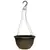 Grower Select 12.00 Boxwood Hanging Basket Mahogany with Hanger 50/CS