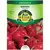 RADISH, CHAMPION 4 G.