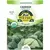 Organic, Golden Acre Cabbage 2gram