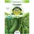 Organic Marketmore Cucumber - 2 Gram