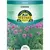 CHIVES 1.35 G.