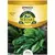 HEIRLOOM, BLOOMSDALE SPINACH 4 GRAM