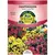 SNAPDRAGON, MAGIC CARPET PKT
