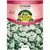 ALYSSUM, CARPET OF SNOW 280 MG