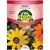 AFRICAN DAISY AURAN MIX 280 MG