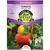 Tomato, Mountain Man (patio) - 10 Seeds