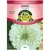 ZINNIA, PURITY WHITE 590 MG.