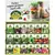 Wetsel 240PKT Organic Counter Display