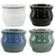 MCarr 4PC 8" Self Water Round Pot Asst
