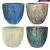 MCarr 32pc Round Leaf Planter Pallet Mixed Colors