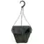 WP 10.00 SQ BSKT 1.84GL 22/CS 48CS/PL 104527 HANGERS NOT INCLUDED