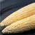 CORN, AMBROSIA 1/2