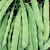 Beans, Roma II - 1/2lb