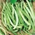 Beans, Topcrop Bush - 1lb