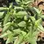 Basil, Siam Queen 1 oz