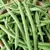 BEANS, TENDERGREEN BUSH - 1 LB EACH