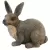 MCarr Brother Rabbit