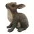 MCarr Sister Rabbit