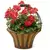 Deer Park Solera Basket With Coco Liner