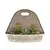Deer Park Succulent Wall Planter Silver White