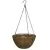 Panacea 14" Hanging Basket Green Growers