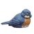 MCarr Blue Bird Sleeping