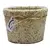 Exotic Pebbles Pots Alabaster 6" Cache
