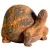 MCarr Liconfiber 10" Rusty Turtle