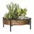 Panacea 10" Succulent Tray with Stand Hammered Copper Finsh