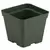 DLN 04.50 SQ TRAD T/W 300GN 765/CS 48CS/PL