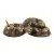 MCarr Western Diamond Back Small Snake