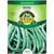 Beans, Tenderette Bush - 10 Gram