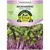 Microgreens, Red Acre Cabbage - 2 Gram