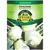 Kohlrabi, Early White Vienna - 3 grams