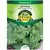 LETTUCE, BLK SEED SIMPSOM 3 G.